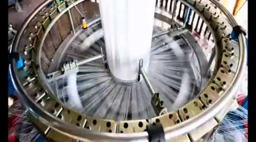 assa enim nec dui nunc